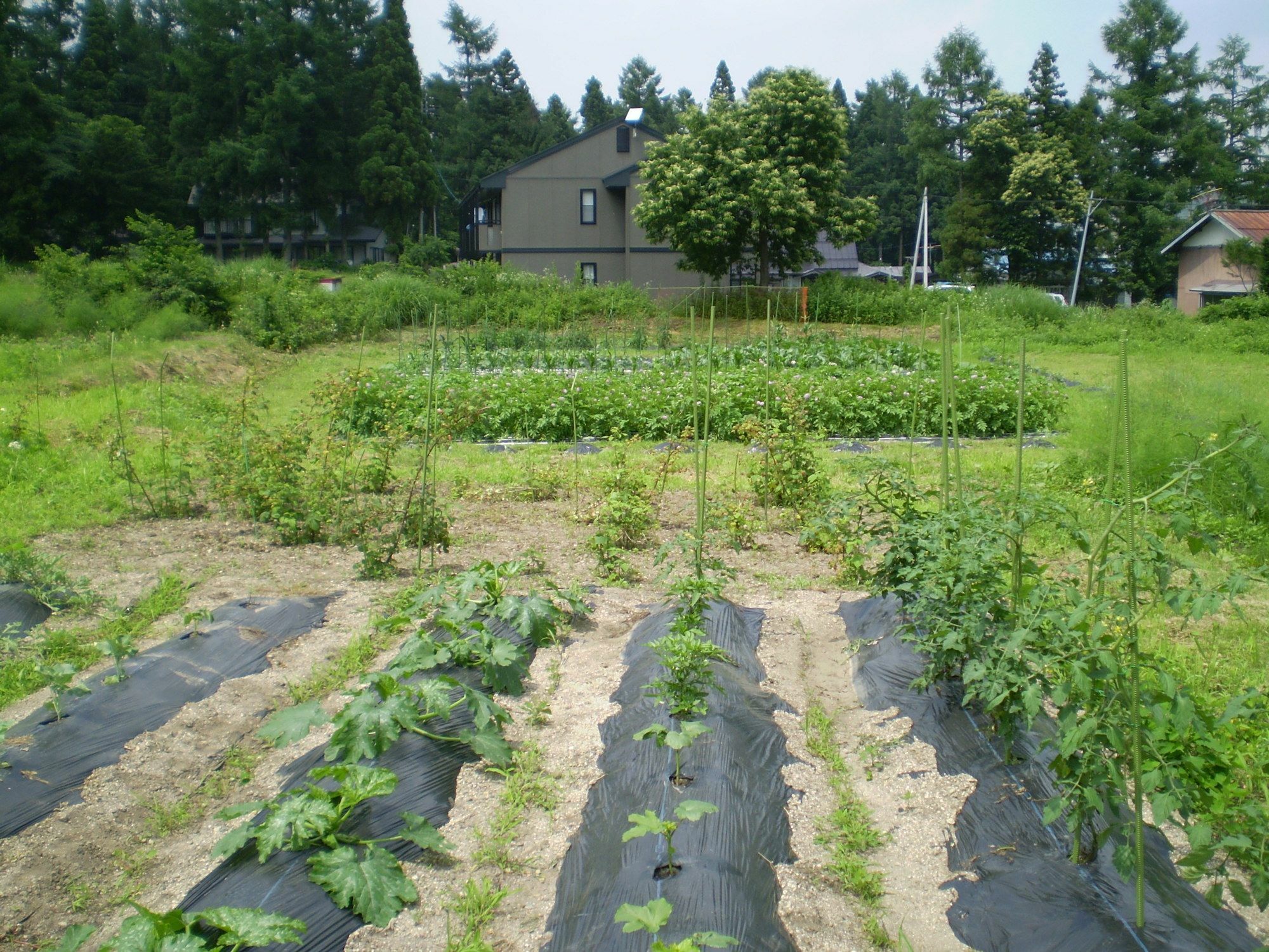 白馬村 ペンション ちゃうちゃう Bed & Breakfast エクステリア 写真