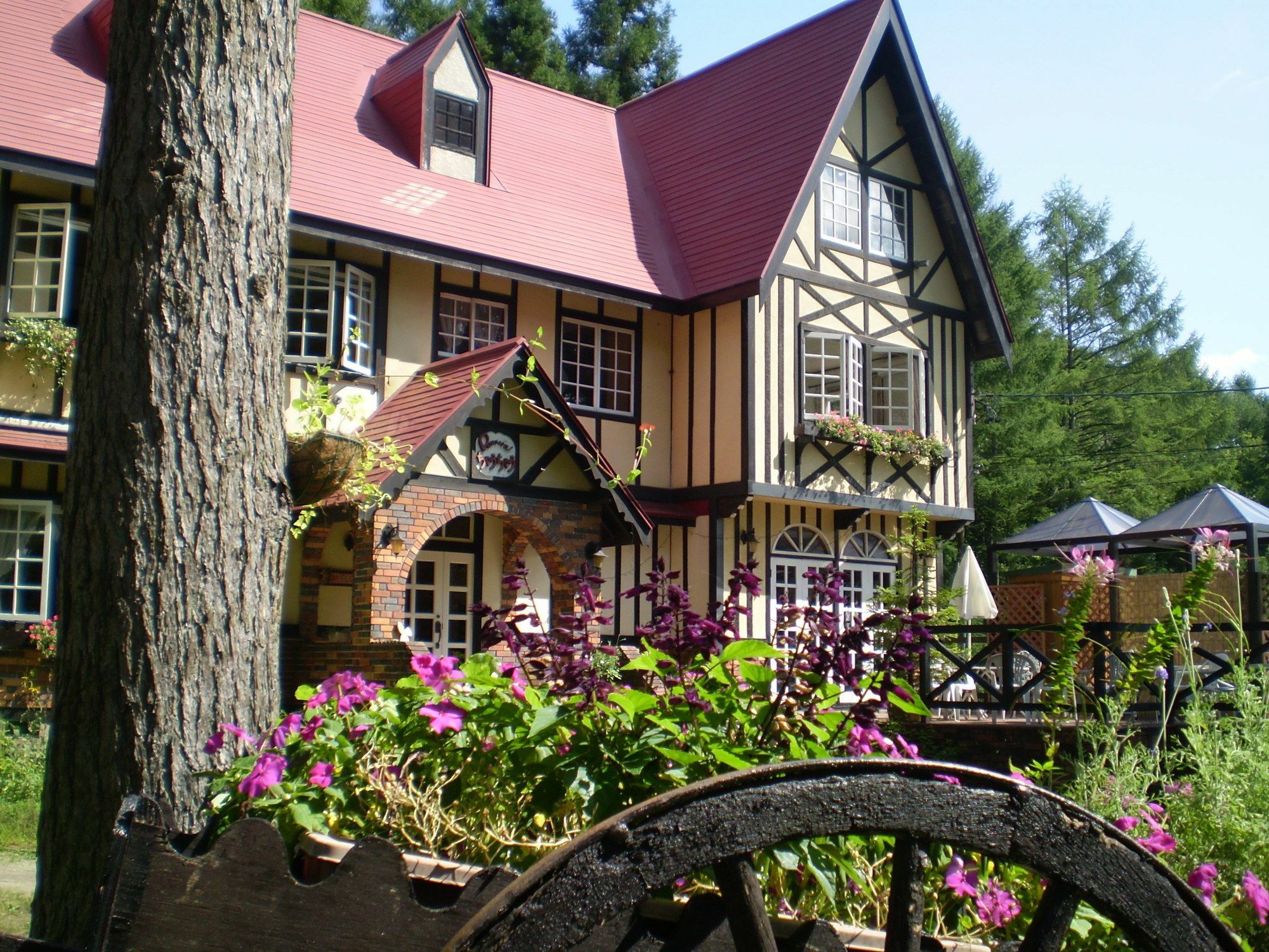 白馬村 ペンション ちゃうちゃう Bed & Breakfast エクステリア 写真